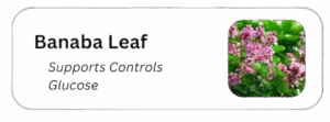 Banaba_Leaf-