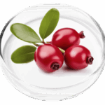 Bearberry