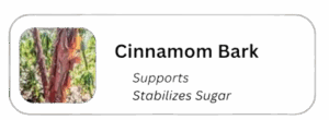 Cinnamon_Bark-