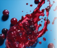 Cranberry Extract