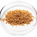 Dodder Seed