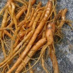Forskohlii Root Extract