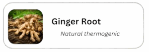 Ginger_Root-