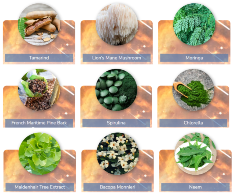 NeuroPrime Ingredients