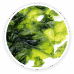 Nori Yaki Extract Powder