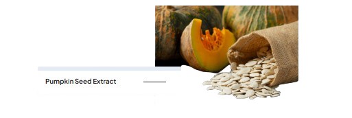 Pumpkin_Seed_Extract-