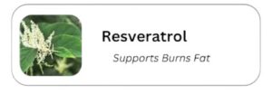 Resveratrol-
