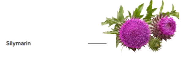 Silymarin ...