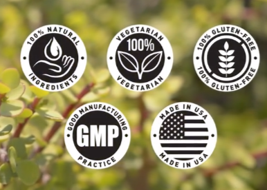 Tea Burn Quality Assured