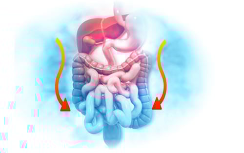 integrative digestive formula benefits